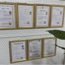 등대부동산중개 | 믿음직한 박프로국제부동산중개와 함께하는 좌동부동산 행정서비스 후기