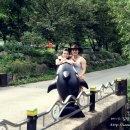 가든수목정 이미지