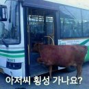 횡성 이미지