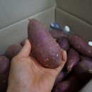 자애상회 네이버블로그