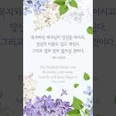 오늘의 '신앙 명언'(293강) 맥스 루케이도(Max Lucado) 이미지