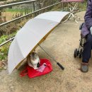 지석리(망향대 주차장) 이미지