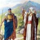 "שלח־לך 슐라흐-레카" : 6월 새벽기도 토라포션 이미지