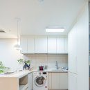 아델리아 이미지