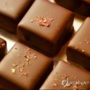 나다운태권도장 이미지