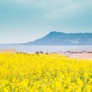 건강한 제철요리 이미지