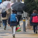 서울영림초등학교 이미지