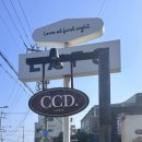 카페CCD송정점 이미지
