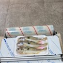 차례원 네이버블로그