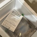 신선만 알쭈꾸미 내돈내산 후기ㅣ추천? 비추천? (feat. 알쭈꾸미 샤브샤브 )