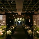 셀럽프라자 이미지