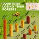 순위: 2001년 이후 총 산림 손실 기준 상위 국가 이미지