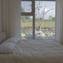 플랜티풀랜드 이미지