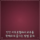 원곡공원로1 | 안산 지투호텔에서 하루를 완벽하게 즐기는 방법 공개