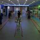 용인대중앙태권도 이미지