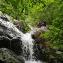 참새미골 이미지