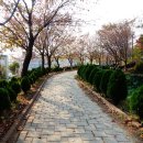 도계체육공원 게이트볼장 이미지