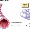 24시 온누리동물메디컬센터 이미지