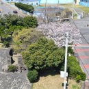 25호공원 이미지