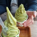 은곡다원 | 서영롱의 늦은 2022년 2월 일상 ★★