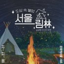 요망진아트