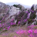 공사모 산악회 4월18일(셋째주 토요일)덕룡산.주작산 미리 공부하기 이미지