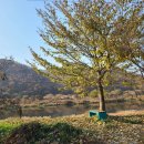 강천수변공원1 이미지