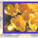 유샹하이 이미지