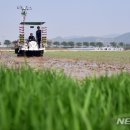 충주시농협쌀조합공동사업법인 이미지