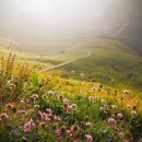 진북에너지태양광발전소 이미지