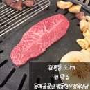 단촌한우암소식당 | 관평동 소고기 음매꿀꿀관평동한우정육식당 암소특수모듬 후기 단체석 연말회식 추천