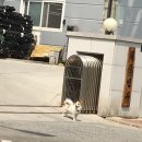 서문카센타 이미지