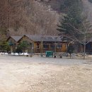 창촌주유소 Daum카페