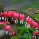 좋은 날들 이미지