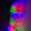 아이캡틴태권도장 이미지