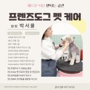 도그애견 이미지