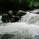소백산자락길 제7코스 뉴시스