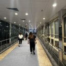 로얄문구프라자