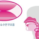 숨바로이비인후과의원 네이버블로그