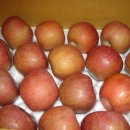 한솔농장 이미지