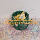 에코페이퍼