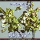 노루목 이미지