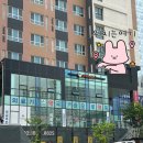 구파발맛집 스와가트은평뉴타운점 인도요리 맛집 런치B세트 후기