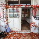 안좌초등학교 이미지