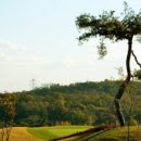 한양파인컨트리클럽 이미지