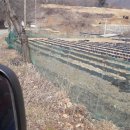 가평땅부동산중개사무소 이미지