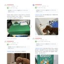 굿씨