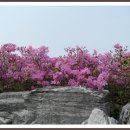 조선대학교병원 이미지