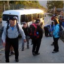 행복한 굼벵이 마을 이미지