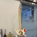 통증케어 | 대구 수성구 체형교정 더클래식피지오 통증케어 후기